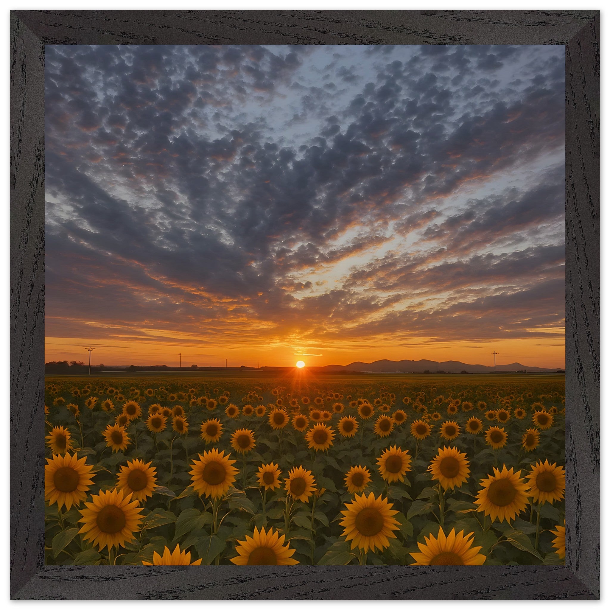 3d255787-52a9-47eb-a032-2fe060803502